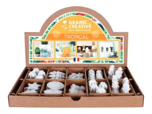 Graine Creative - Ensemble de forme d'artisanat - 64 pièces - ananas, barrel cactus, flat cactus, long cactus, round cactus, succulent, citrus slice, star fruit - tropical - plaster