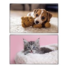 Sous-main Animaux Chaton + Chiot - 59,5 x 36,2 cm - Assortis - Viquel