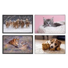 Sous-main Animaux 4 visuels - 59,5 x 36,2 cm - Assortis - Viquel