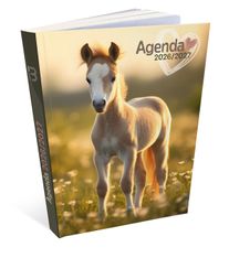 Agenda Cheval - 1 jour par page - 12 x 17 cm - Bouchut