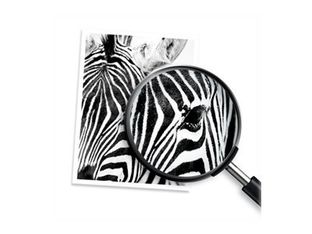 HP 925 - jaune - cartouche d'encre originale (4K0V8PE)