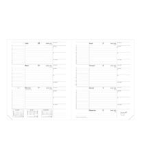 Recharge pour Journal de professeur - 2024-2025 - semainier - 18 x 24 cm - blanc - Quo Vadis Le Principal