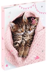 Classeur A4 dos 40 chaton tendre duo - 25 x 32 cm - Oberthur
