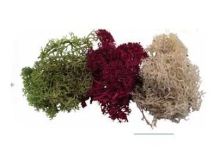 Schulcz - Détail du modèle - bleu