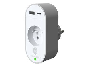 Force Power Lite - Protection contre les surtensions - 540J, lifetime warranty, Type E, USB A + C PD - connecteurs de sortie : 1 - 1.5 m cordon - Europe - gris, blanc