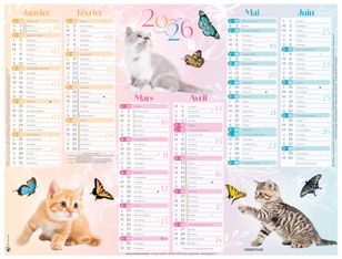 Oberthur - Calendrier Chatons - 6 mois par page - 270 x 210 mm - daté