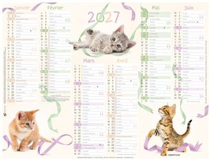 Oberthur C- Calendrier Chatons - 6 mois par page - 420 x 320 mm - daté