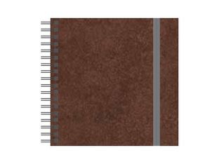 Senfort Stone - Álbum - bronzite x 1