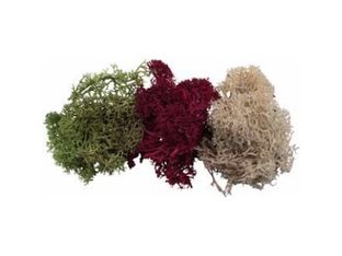 Schulcz - Détail du modèle - jaune