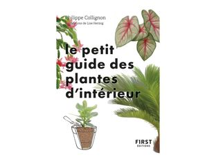 Le Petit Guide jardin des plantes d'intérieur - par Collignon Philippe