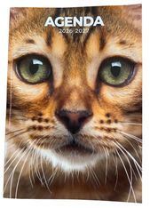 Agenda scolaire chaton - 1 jour par page - 12x17 cm - Les Editions du Belon