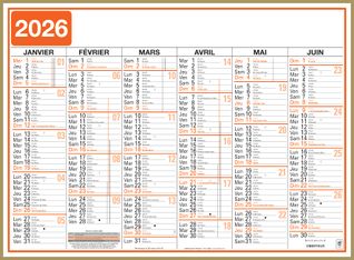 Oberthur Classique - Planificateur - fixation murale - 2015 - visualisation de 6 mois - 520 x 405 mm - daté