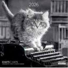 Calendriers 30x30cm 16 mois Aquarupella - Chats N&B