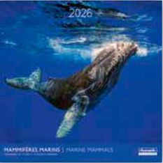 Calendriers 30x30cm 16 mois Aquarupella - Mammifères marins