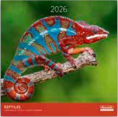 Calendriers 30x30cm 16 mois Aquarupella - Reptiles