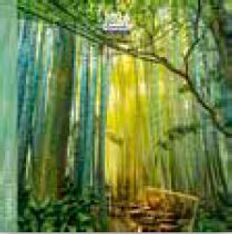 Calendrier 16x16cm 16 mois Aquarupella - Bambou