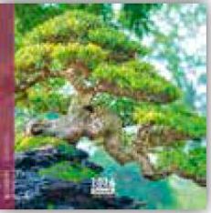 Calendrier 16x16cm 16 mois Aquarupella - Bonsai
