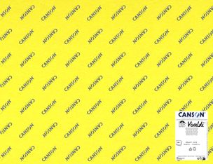 Canson Iris Vivaldi - Feuilles - 500 x 650 mm - 120 feuilles - variée - 185 g/m² - papier