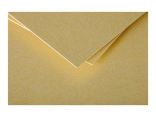 Clairefontaine Pollen - Papier - or - 82 x 128 mm - 210 g/m² - 25 carte(s) cartes pliées en deux