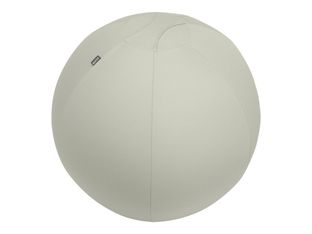Leitz Ergo - Ballon d'assise ergonomique - Diamètre 75cm - Gris clair