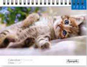 Calendrier chevalet 16x18cm 12 mois Aquarupella -Chats