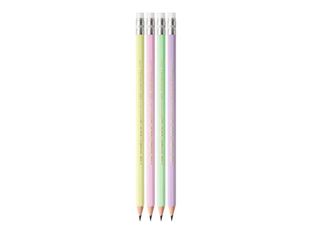 BIC EVOLUTION - Crayon - graphite - non permanent - HB - avec gomme (pack de 12)