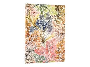 PAPERBLANKS FLEXIS WILLIAM KILBURN - Carnet flexi couverture souple - midi 120 x 175 mm - 176 pages lignées - Anemone multicolore