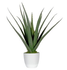Plante artificielle ALOE VERA - 45cm