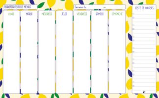 Quo Vadis - Planificateur de menus - Français - Carnets thématiques - Multicolore - Perpétuel - 16,5x26,5 cm - Papier Clairefontaine blanc - Fabrication française