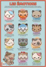 Poster pédagogique Emotions - 52 x 76 cm - Bouchut