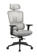 Silla de oficina VanguardGris