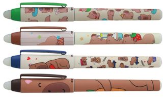 Effacink plastique INK Lazycapy 4 designs assortis