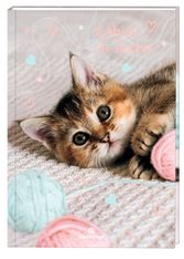 Cahier de texte Chaton tendre- 15,5 x 22 cm - Oberthur