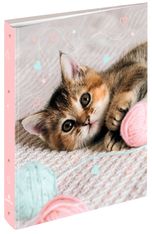 Classeur A4 dos 40 chaton tendre - 25 x 32 cm - Oberthur