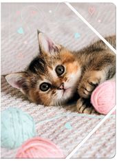 Chemise A4 chaton tendre - 24 x 32 cm - Oberthur