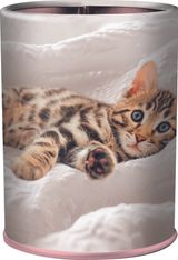 Pot a crayons chaton - 6,7 x 10,7 cm - Oberthur