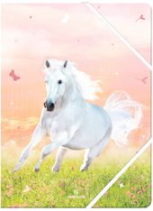 Chemise A4 Cheval - 24 x 32 cm - Oberthur