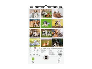 Finocam - Calendario - pared - 2026 - dogs and cats - un mes vista - 250 x 400 mm - fecha