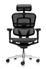 Fauteuil de bureau ERGOHUMAN Ultra - Assise résille - noir