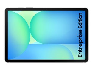 Samsung Galaxy Tab S10 FE - Tablette 10,9" - 8/128 Go - anthracite