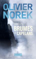 Dans les brumes de Capelans - de Olivier Norek