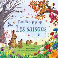 Usborne - Mon livre pop-up - Les saisons
