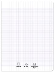 Les prix Mini - Cahier 24 x 32 cm - 96 pages - grands carreaux (Seyes) 