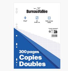 Bureau Vallée - Copies Doubles - 300 pages - A4 - Petits carreaux - Perforées