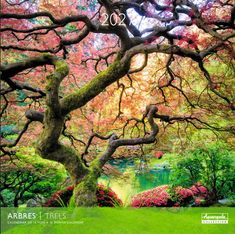 Calendrier mensuel 30X30cm ARBRES - 16 mois Aquarupella