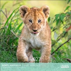 Calendrier mensuel 30X30cm BEBES ANIMAUX - 16 mois Aquarupella