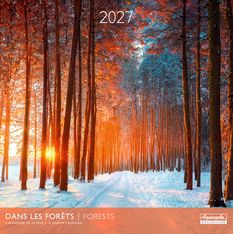 Calendrier mensuel 30X30cm DANS LES FORETS - 16 mois Aquarupella