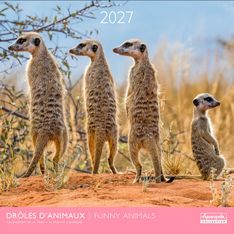 Calendrier mensuel 30X30cm DROLES D'ANIMAUX - 16 mois Aquarupella