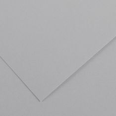 CANSON - 25 Feuilles Iris Vivaldi 50 x 65 cm - 120 g - Gris Clair