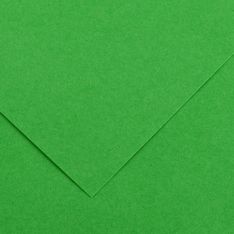 CANSON - 25 Feuilles Iris Vivaldi 50 x 65 cm - 120 g - Vert Franc